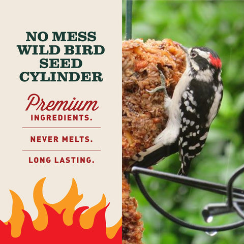 Mr. Bird cilindro montado en EZFeeder para uso seguro y duradero