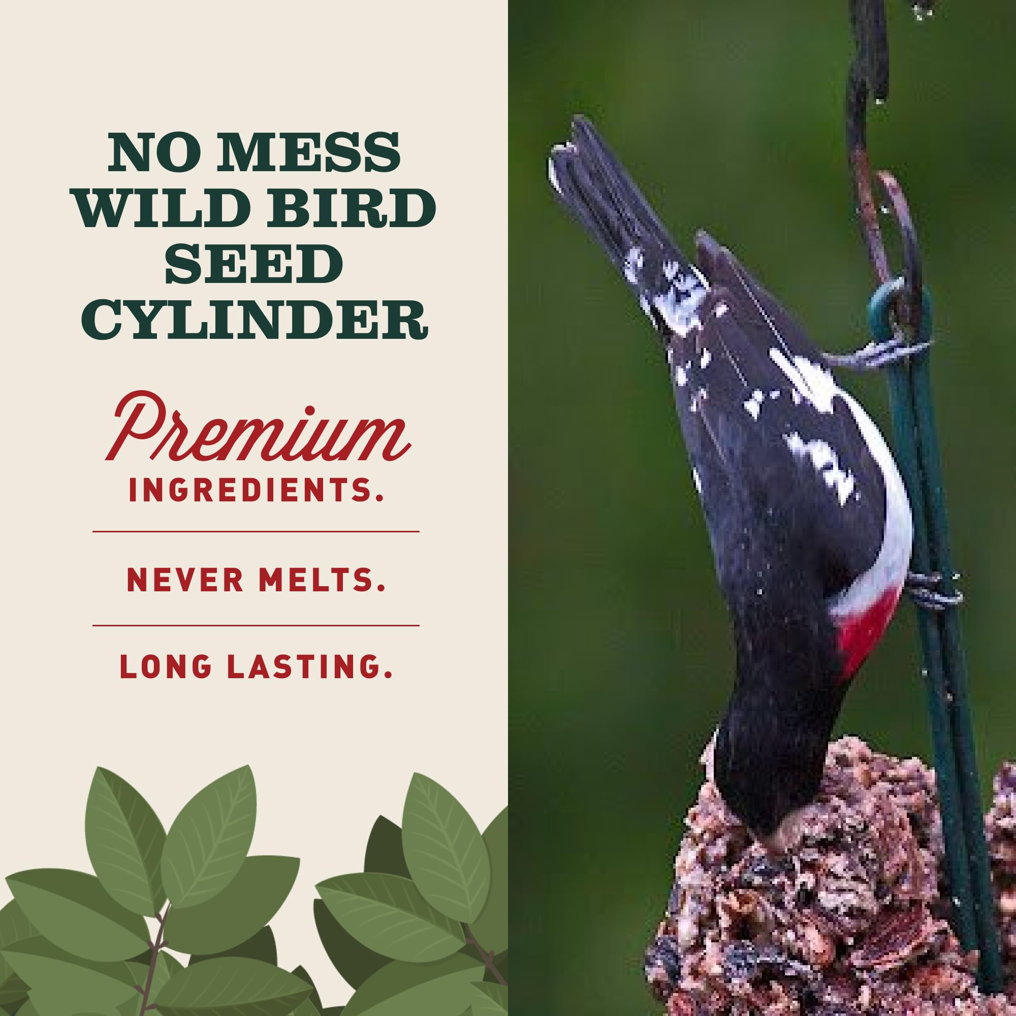 Mr. Bird cilindro colocado en EZFeeder mostrando ajuste seguro