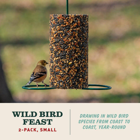 Mr. Bird textura detalle que resalta semillas y frutos secos nutritivos