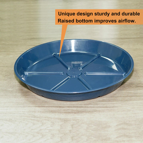 MSKIAUO plato junto a regla muestra medidas y escala