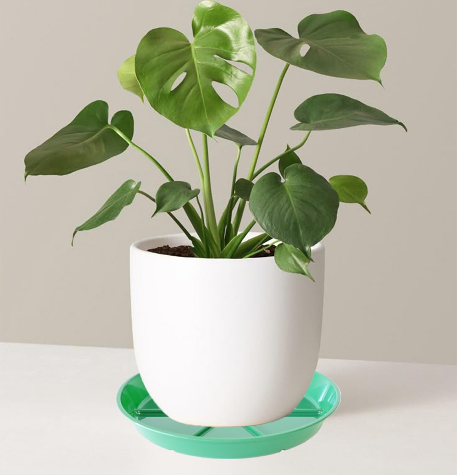 MSKIAUO conjunto de platos en terraza mostrando aspecto decorativo y uniformidad