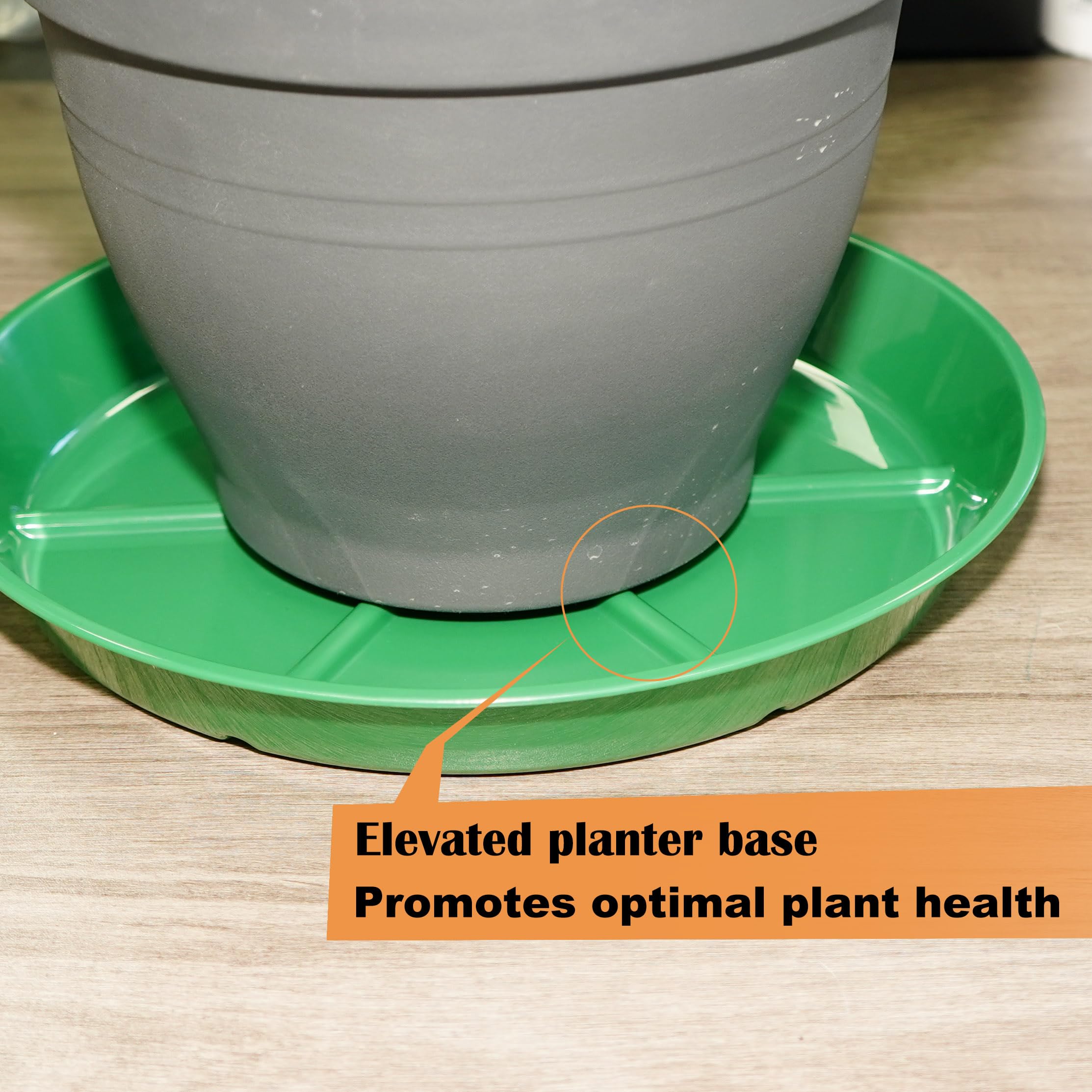 MSKIAUO plato junto a una regla para comparar dimensiones y asegurar ajuste correcto