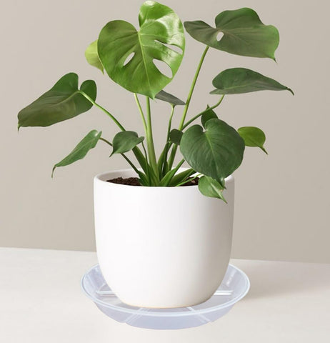 MSKIAUO paquete de dos platos apilados, ahorro y reemplazo inmediato