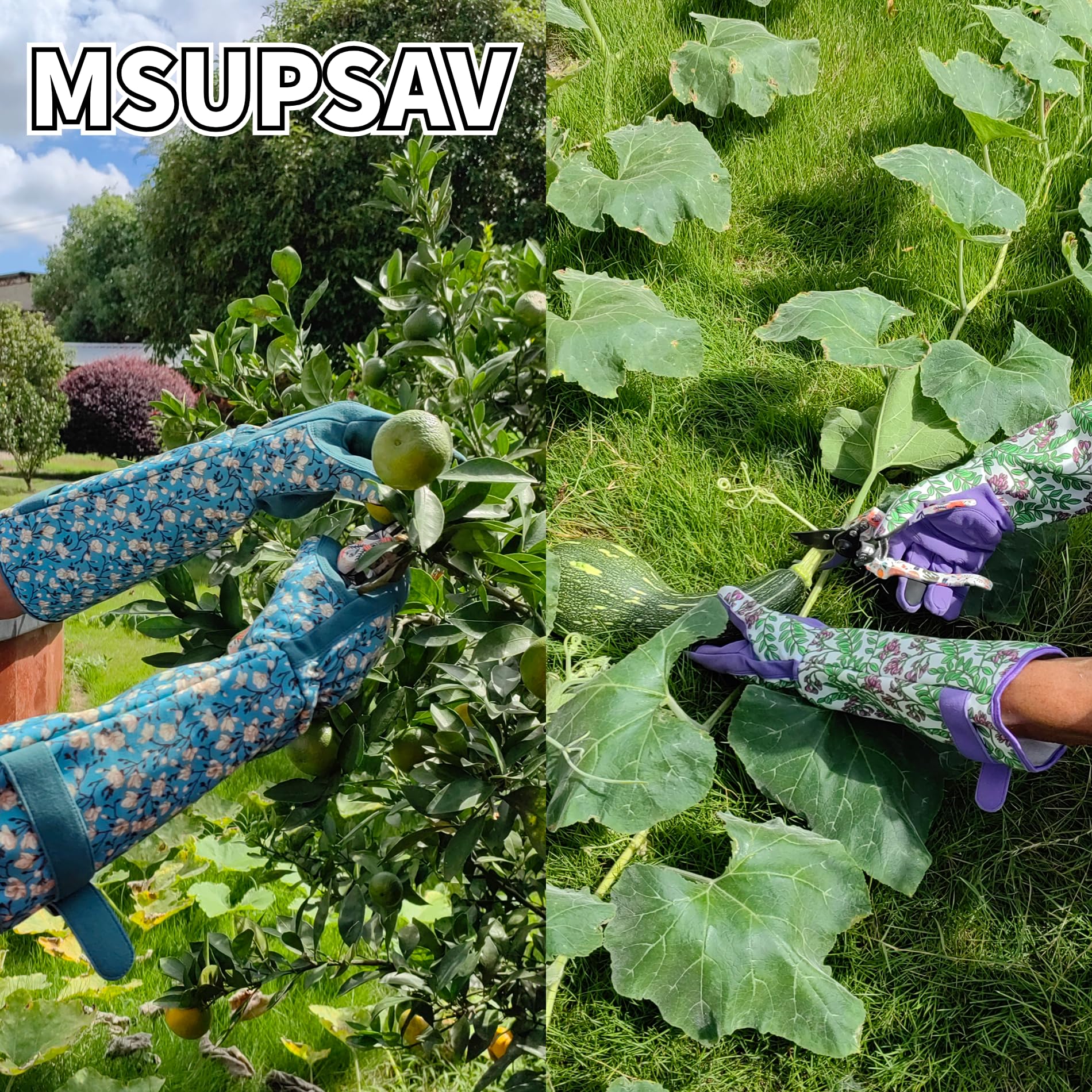 MSUPSAV embalaje y etiqueta mostrando materiales y cuidados