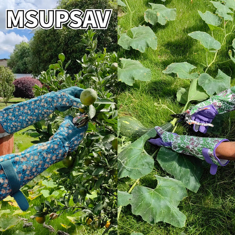 MSUPSAV embalaje y etiqueta mostrando materiales y cuidados