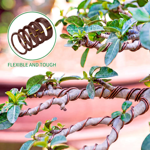 Mudder comparación a escala de los cinco grosores, ayuda a elegir el diámetro correcto
