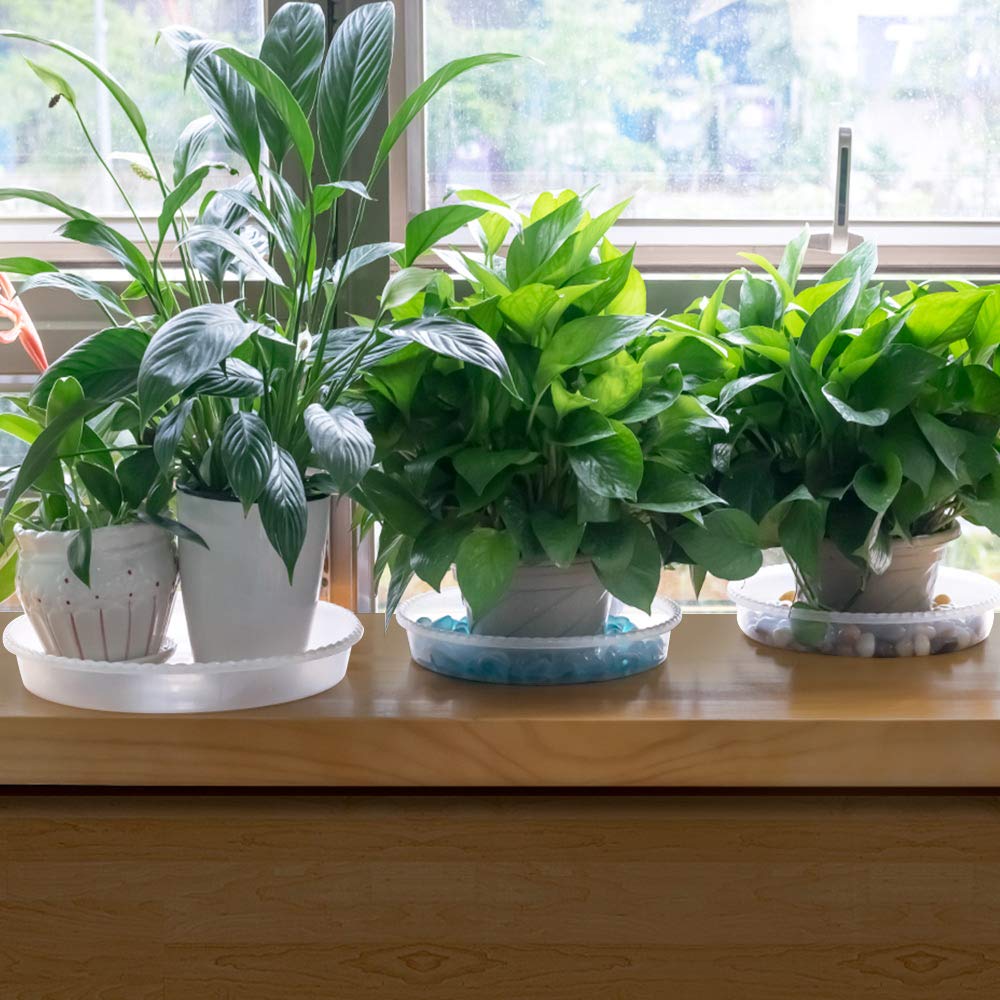 MUDEELA en ambiente interior moderno protege suelos sin alterar decoración