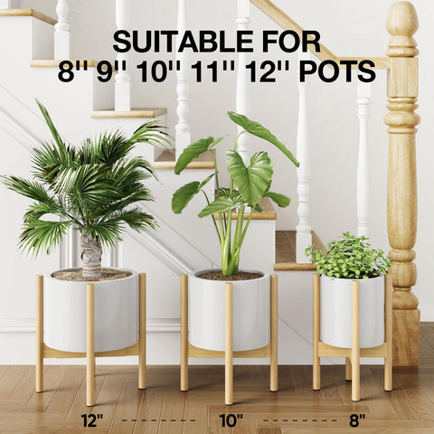 MUDEELA soporte con maceta en salón que mejora la decoración y eleva la planta