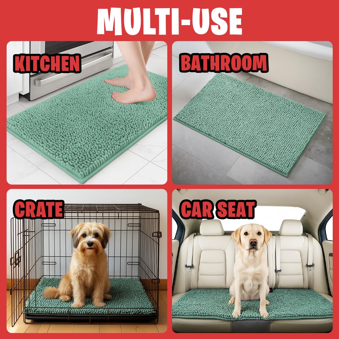 MUDGUARD MAT en entrada con perro secando patas y evitando barro interior