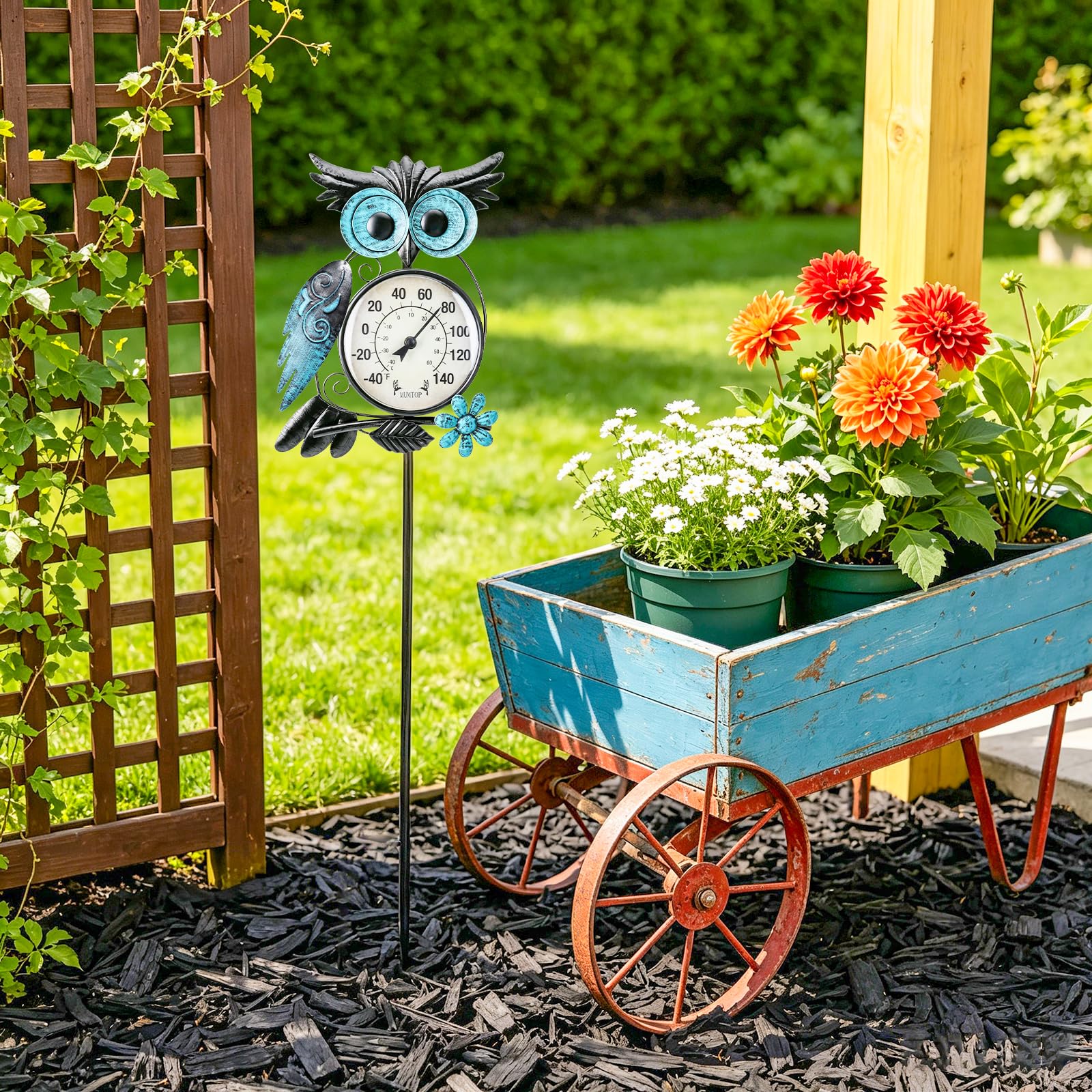 MUMTOP búho junto a objeto para comparar tamaño práctico