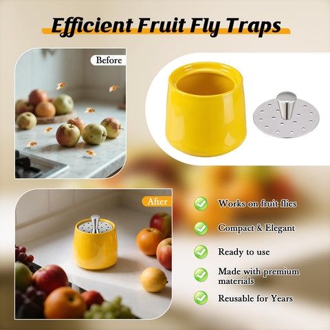 Mysora comparación de tamaño con una taza, escala práctica para la cocina