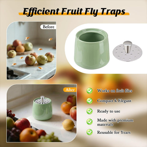 Mysora trampa comparada con una taza para ver escala y conveniencia