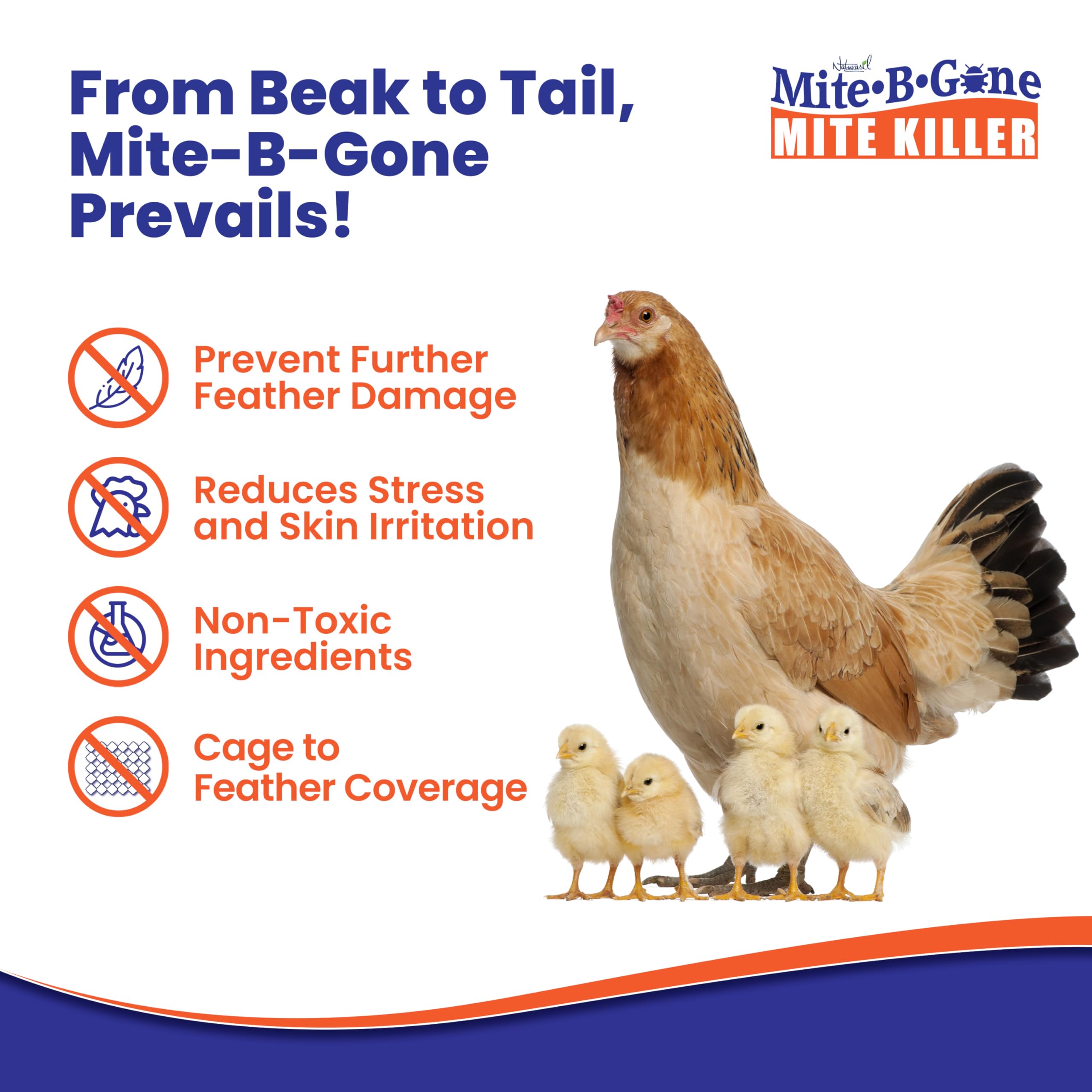 Naturasil aplicado en gallinero protegiendo aves con fórmula no tóxica