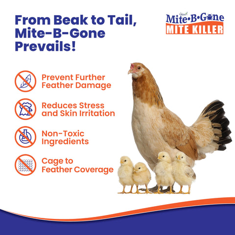 Naturasil aplicado en gallinero protegiendo aves con fórmula no tóxica