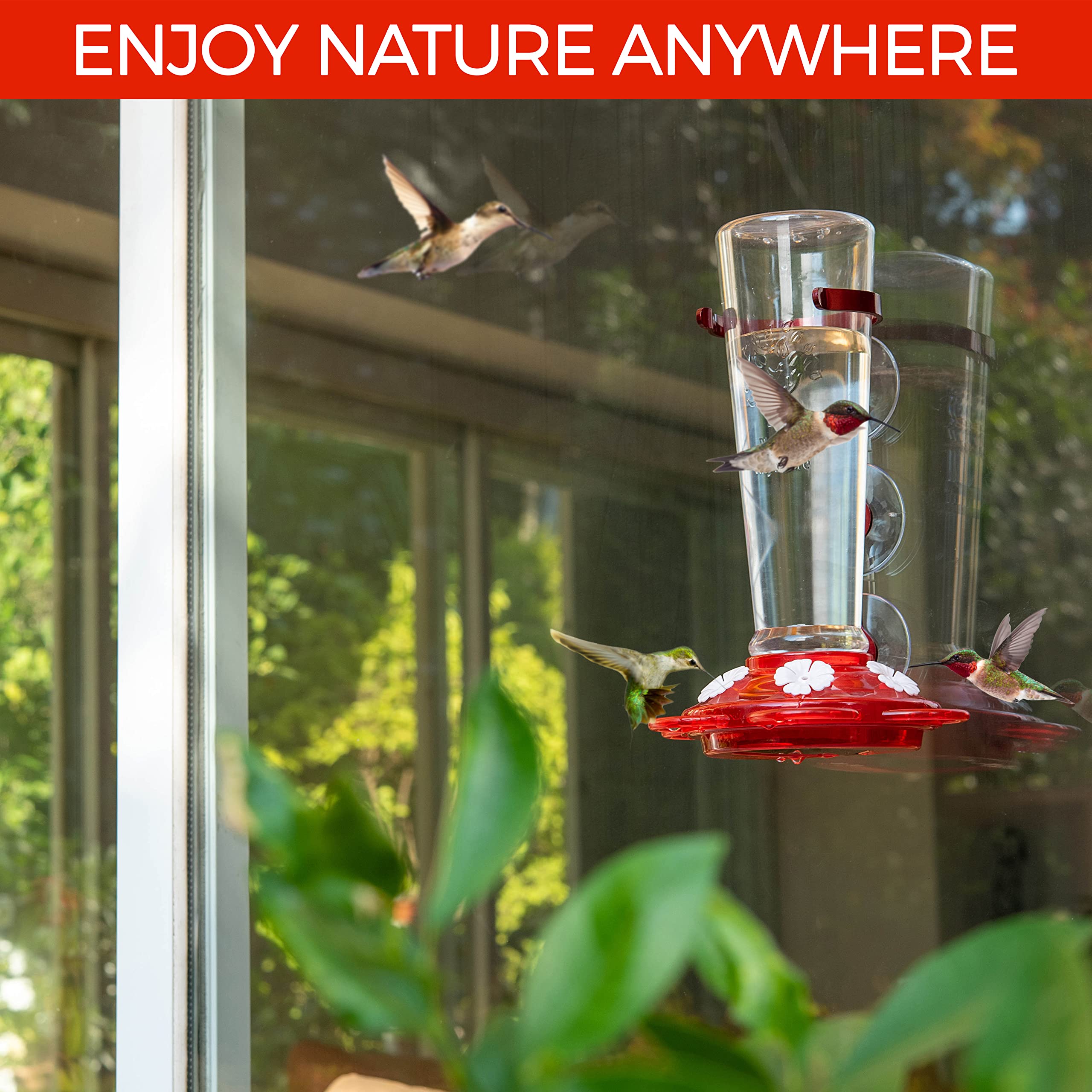 Nature Anywhere comedero desmontado listo para limpieza y mantenimiento fácil