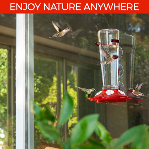 Nature Anywhere comedero desmontado listo para limpieza y mantenimiento fácil