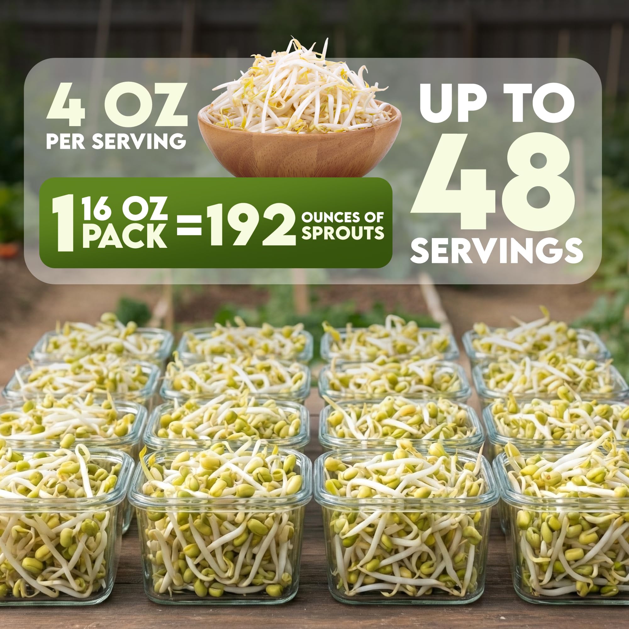 Nature Jim's Sprouts brotes en frasco listos para comer con crujido fresco