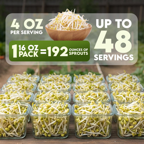 Nature Jim's Sprouts brotes en frasco listos para comer con crujido fresco