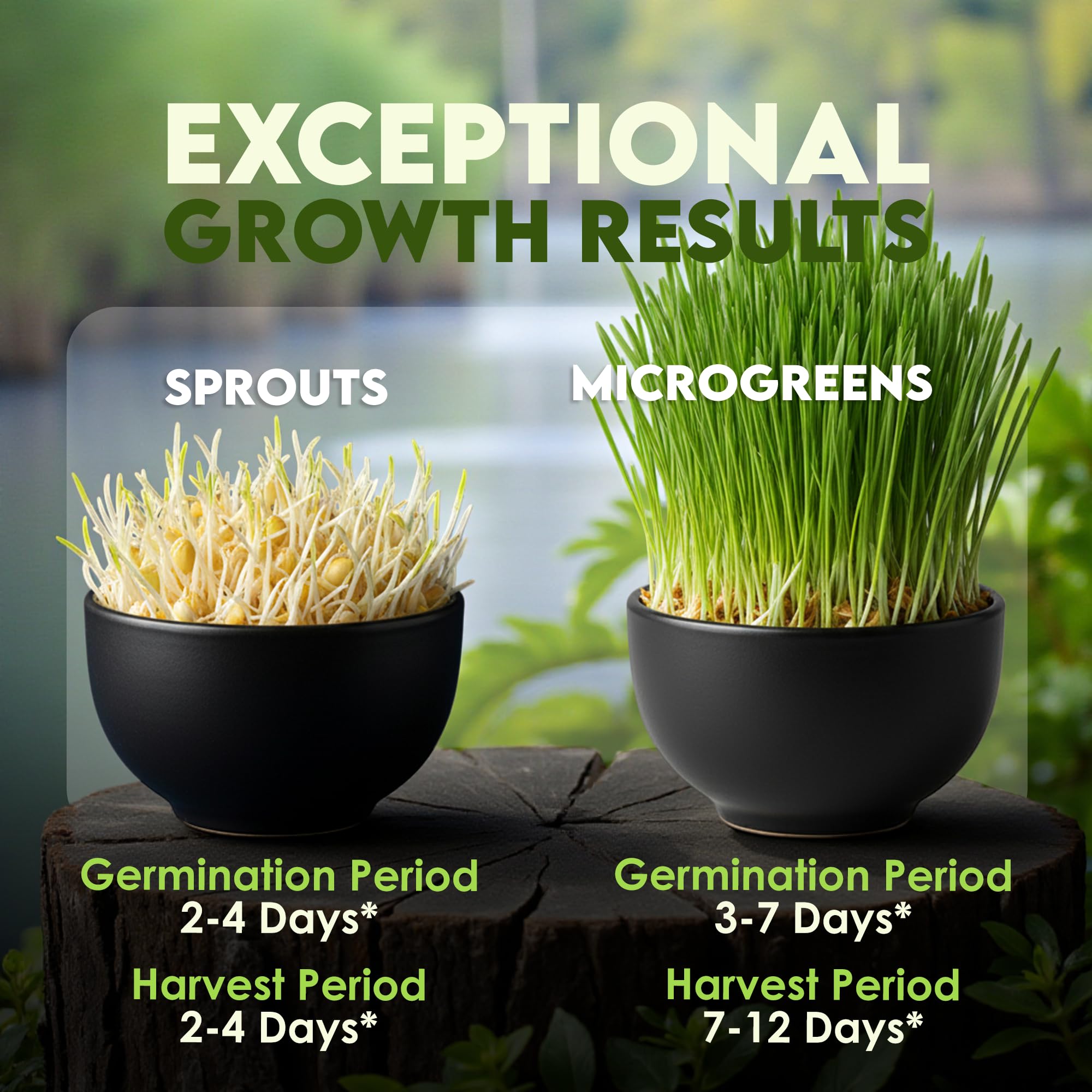 Nature Jim's Sprouts bolsa de 16 oz junto a objeto para comparar tamaño