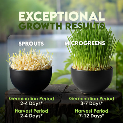 Nature Jim's Sprouts bolsa de 16 oz junto a objeto para comparar tamaño