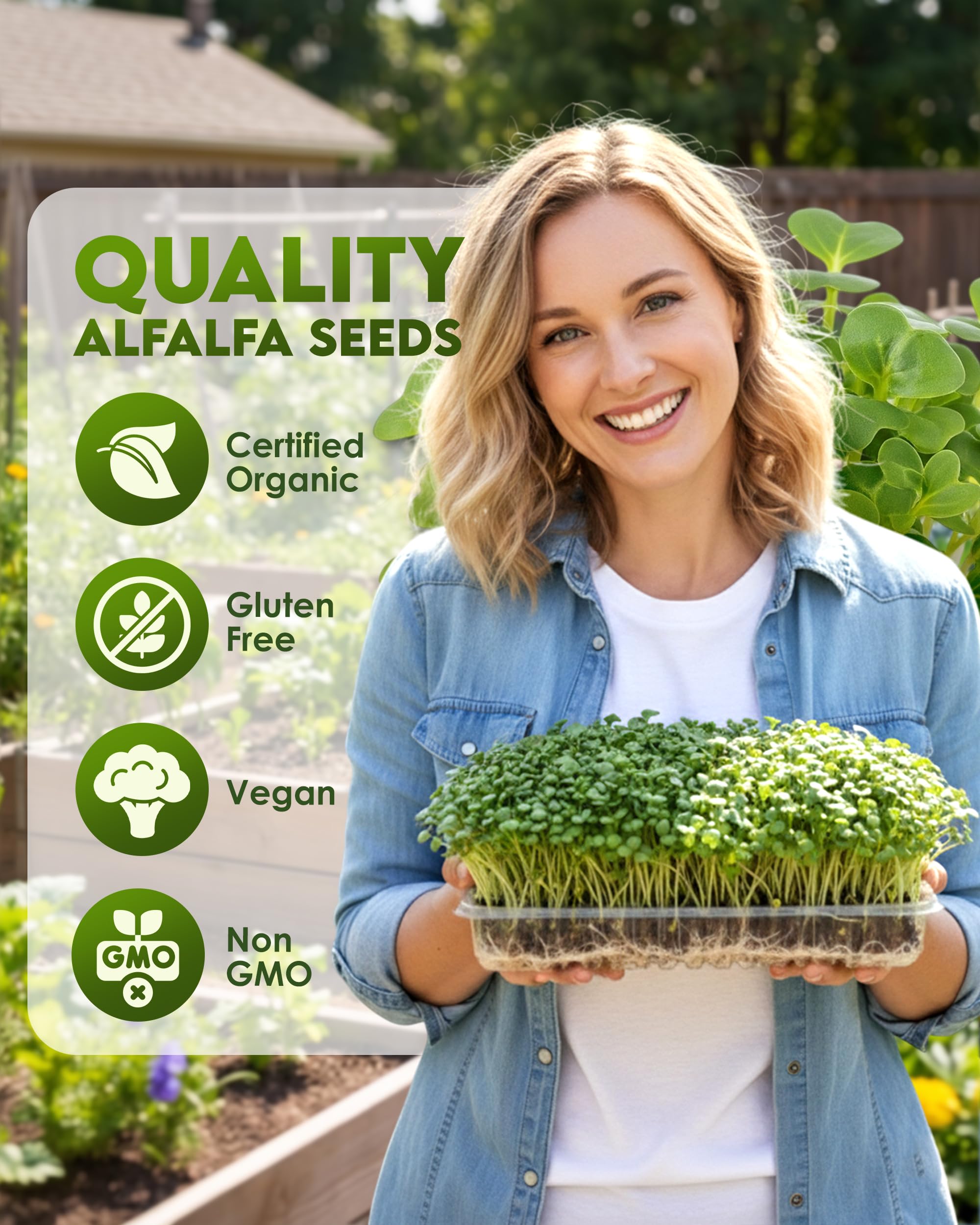 Nature Jim's Sprouts primer plano de semillas de alfalfa, calidad pura visible