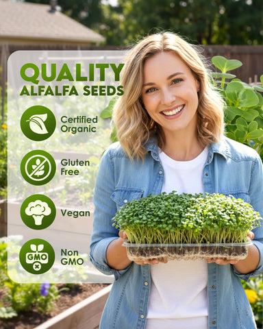 Nature Jim's Sprouts primer plano de semillas de alfalfa, calidad pura visible