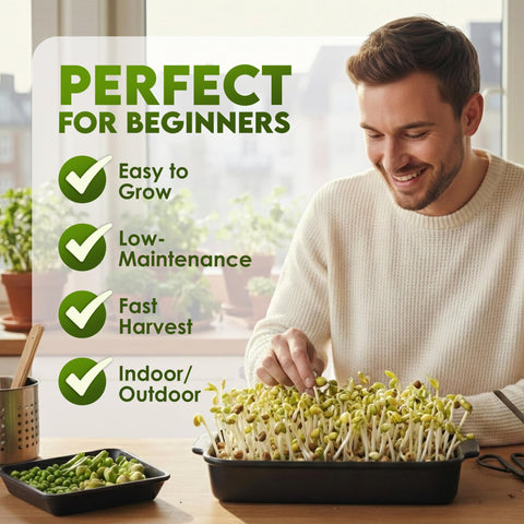 Nature Jim's Sprouts microverdes en bandeja cultivo casero y aspecto saludable