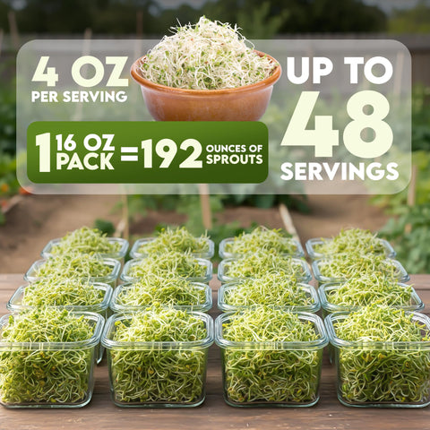 Nature Jim's Sprouts semillas de rábano a granel listas para germinar en casa