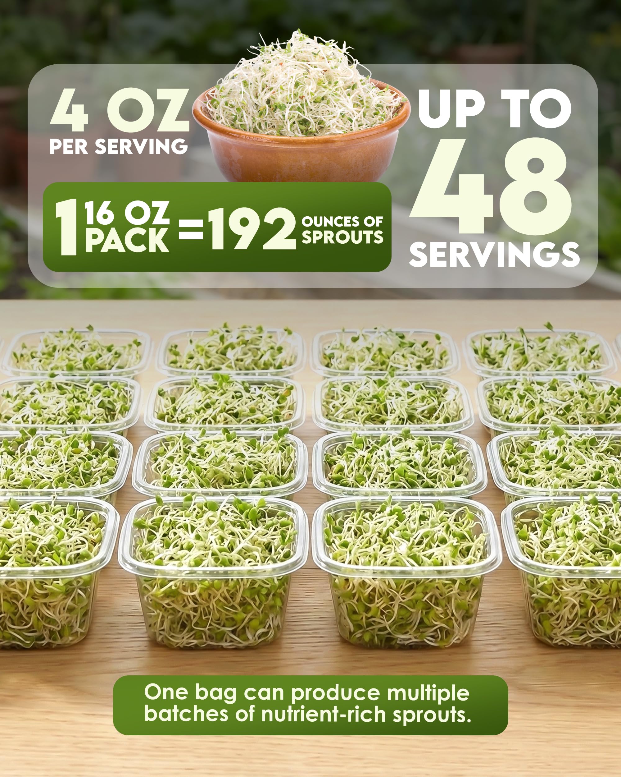 Nature Jim's Sprouts brotes crujientes en detalle, textura fresca y apetecible