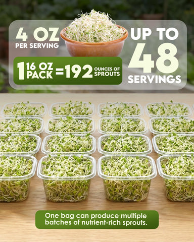 Nature Jim's Sprouts brotes crujientes en detalle, textura fresca y apetecible