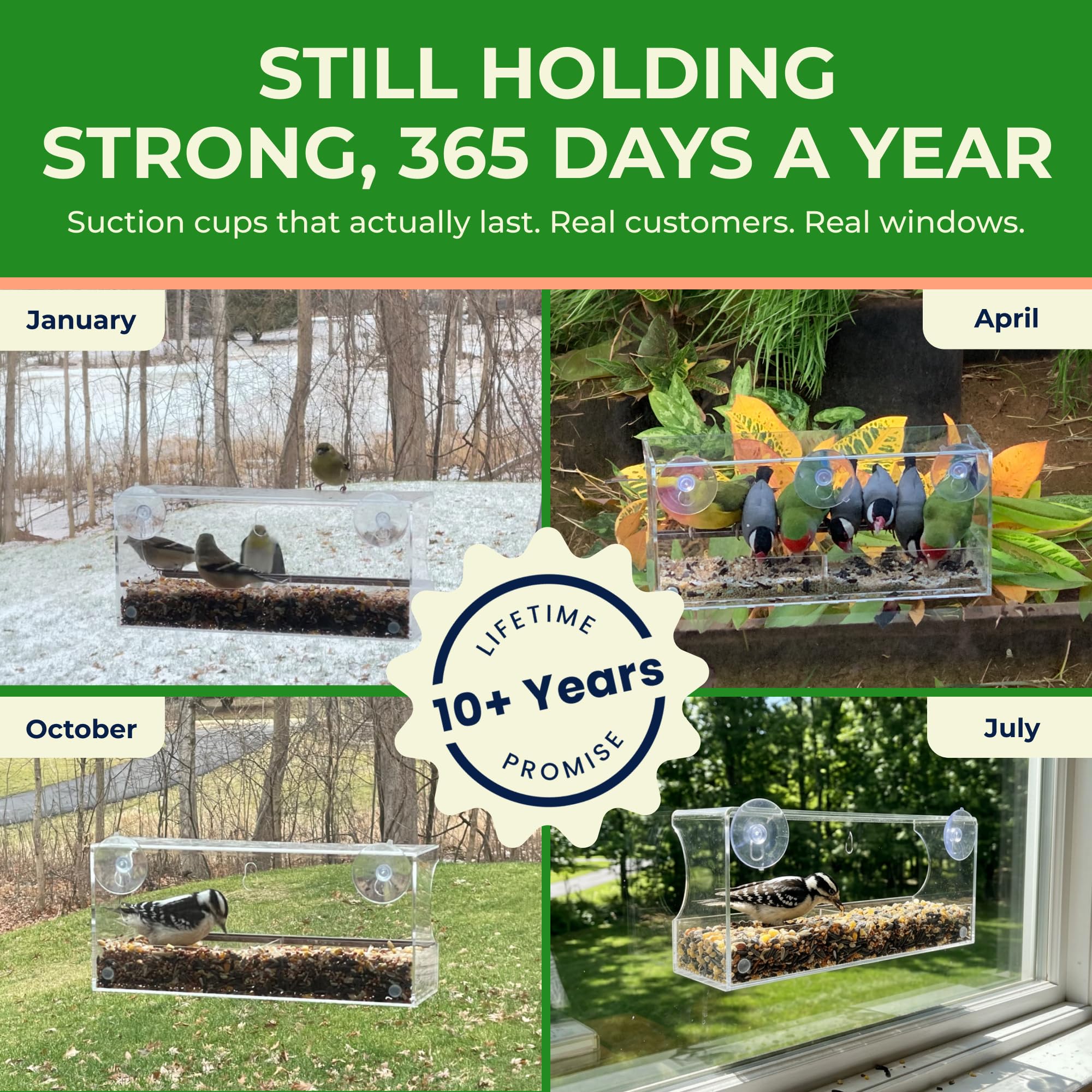 Nature's Hangout ventosas ECOSTRONG que mantienen el comedero fijo