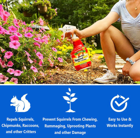 Nature's MACE frasco en mano para comparar tamaño y facilidad de manejo