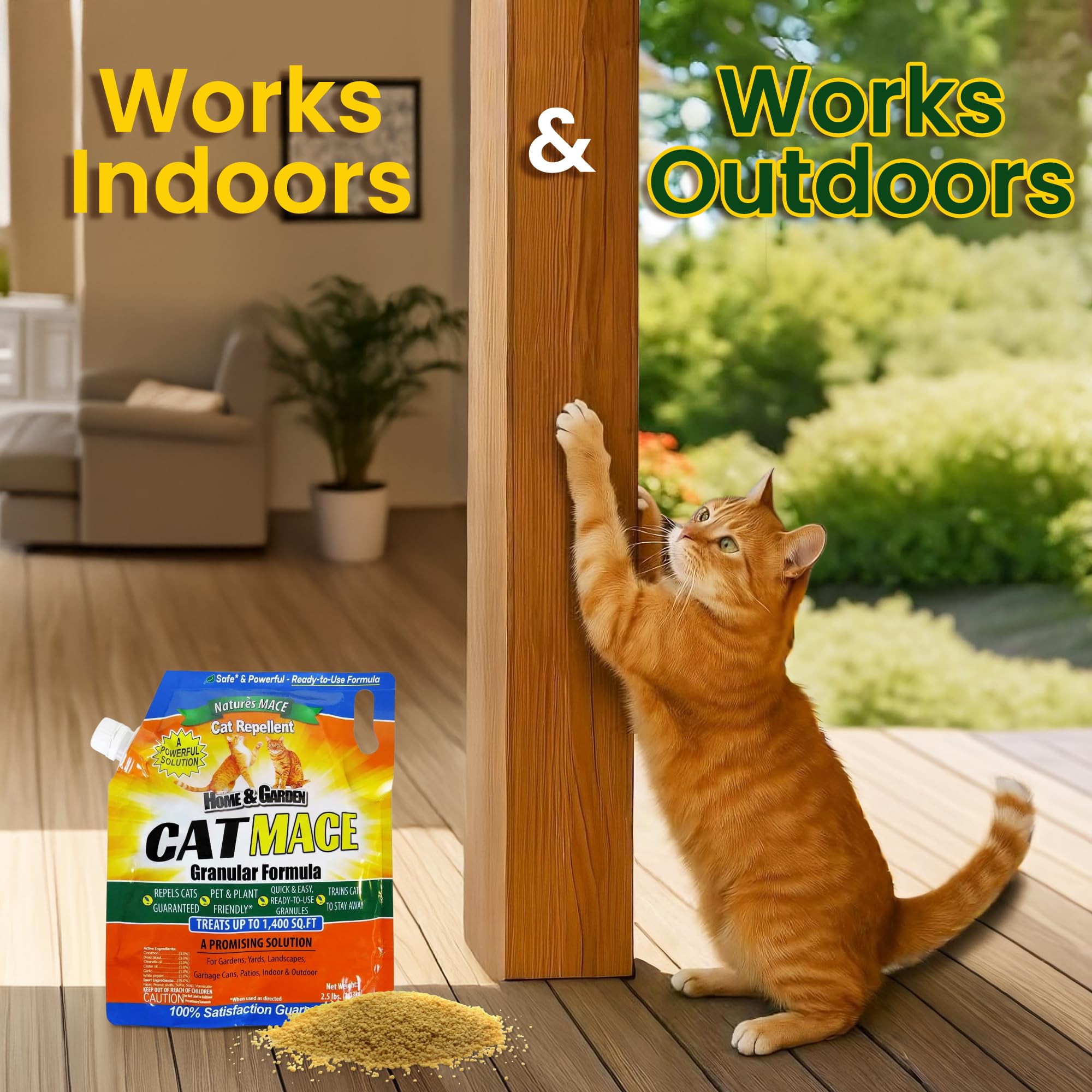 Nature's MACE junto a maceta protegida evitando que gatos excaven