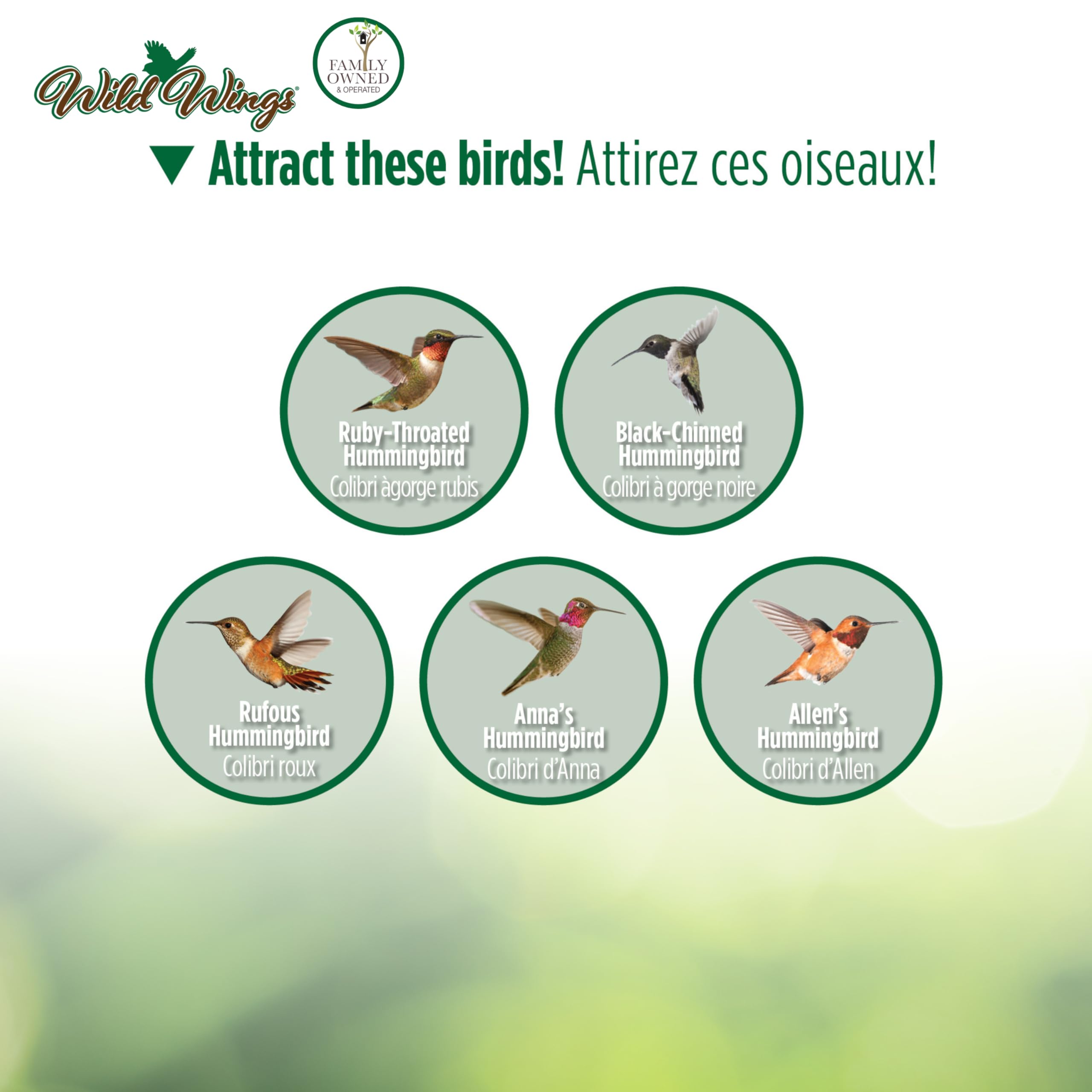 NATURE'S WAY comedero en uso con colibrí alimentándose y fácil acceso