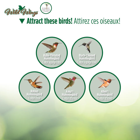 NATURE'S WAY comedero en uso con colibrí alimentándose y fácil acceso