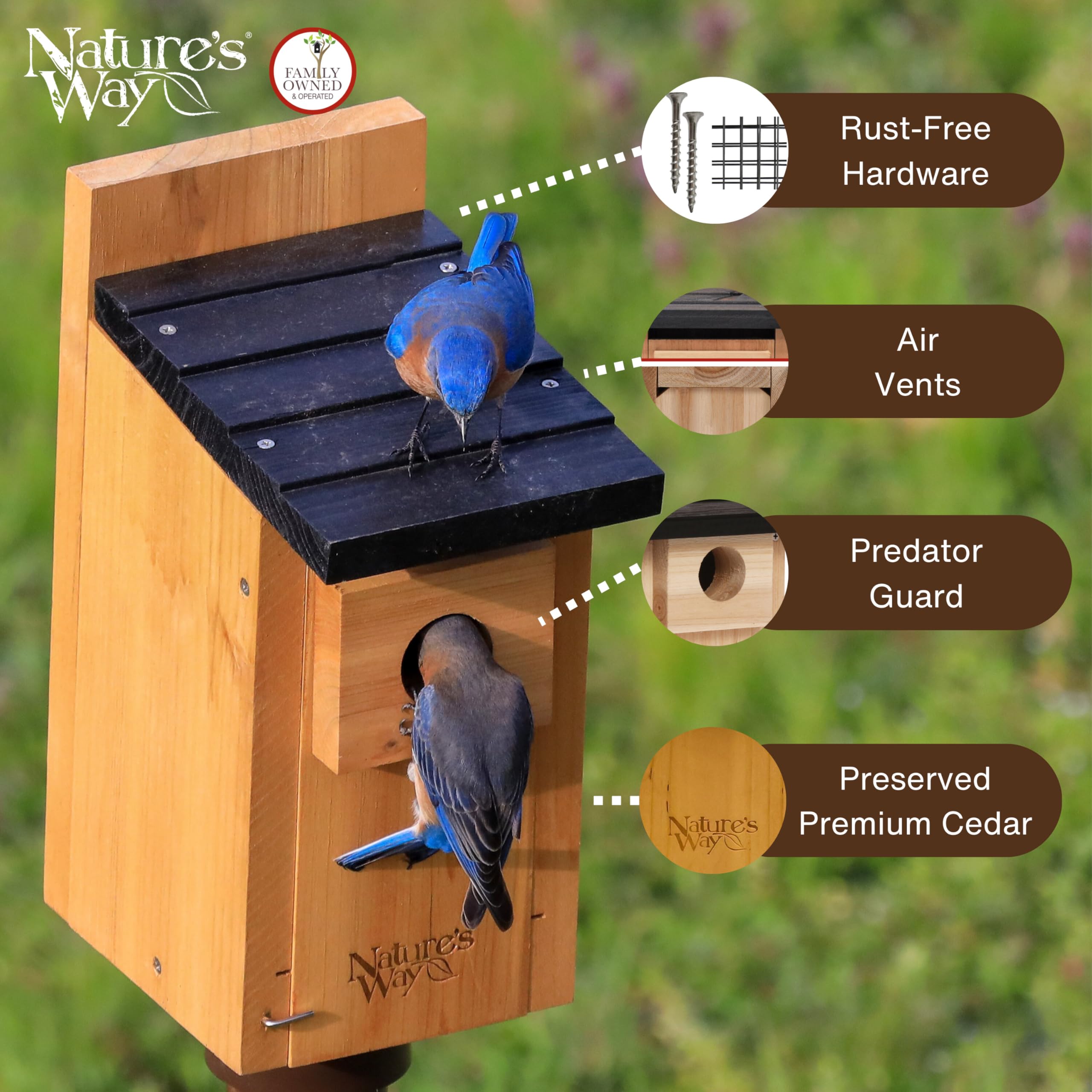 Nature's Way interior con kerfs que ayudan a los polluelos a trepar