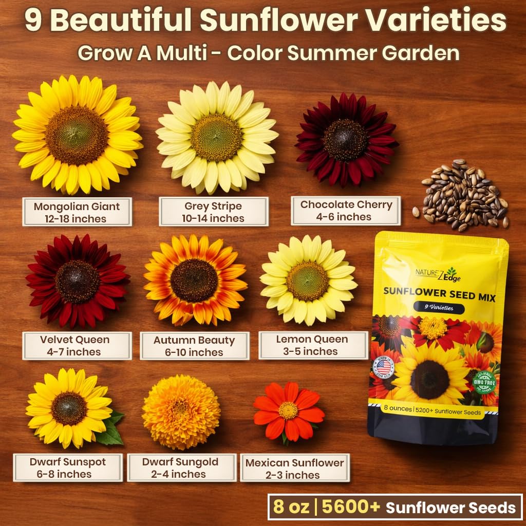 NatureZ Edge mezcla de semillas vista cercana, útil para sembrar diversas flores