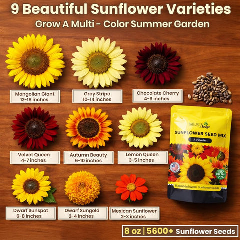 NatureZ Edge mezcla de semillas vista cercana, útil para sembrar diversas flores