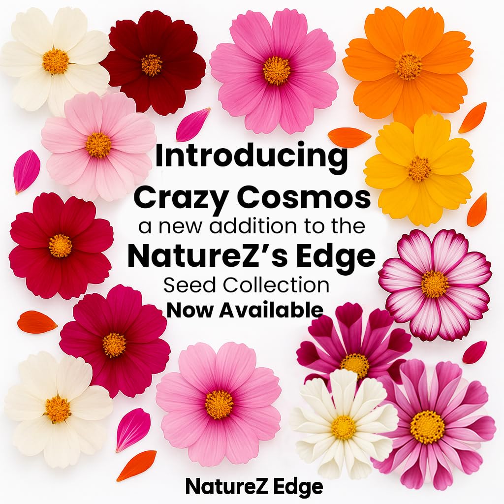 NatureZ Edge primer plano de semillas mostrando textura y calidad premium