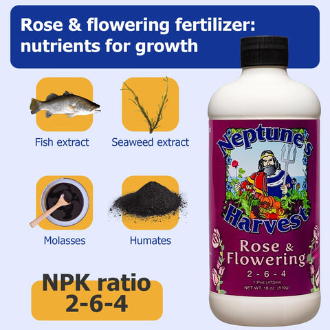 Neptune's Harvest aplicado foliarmente para mayor floración y vigor