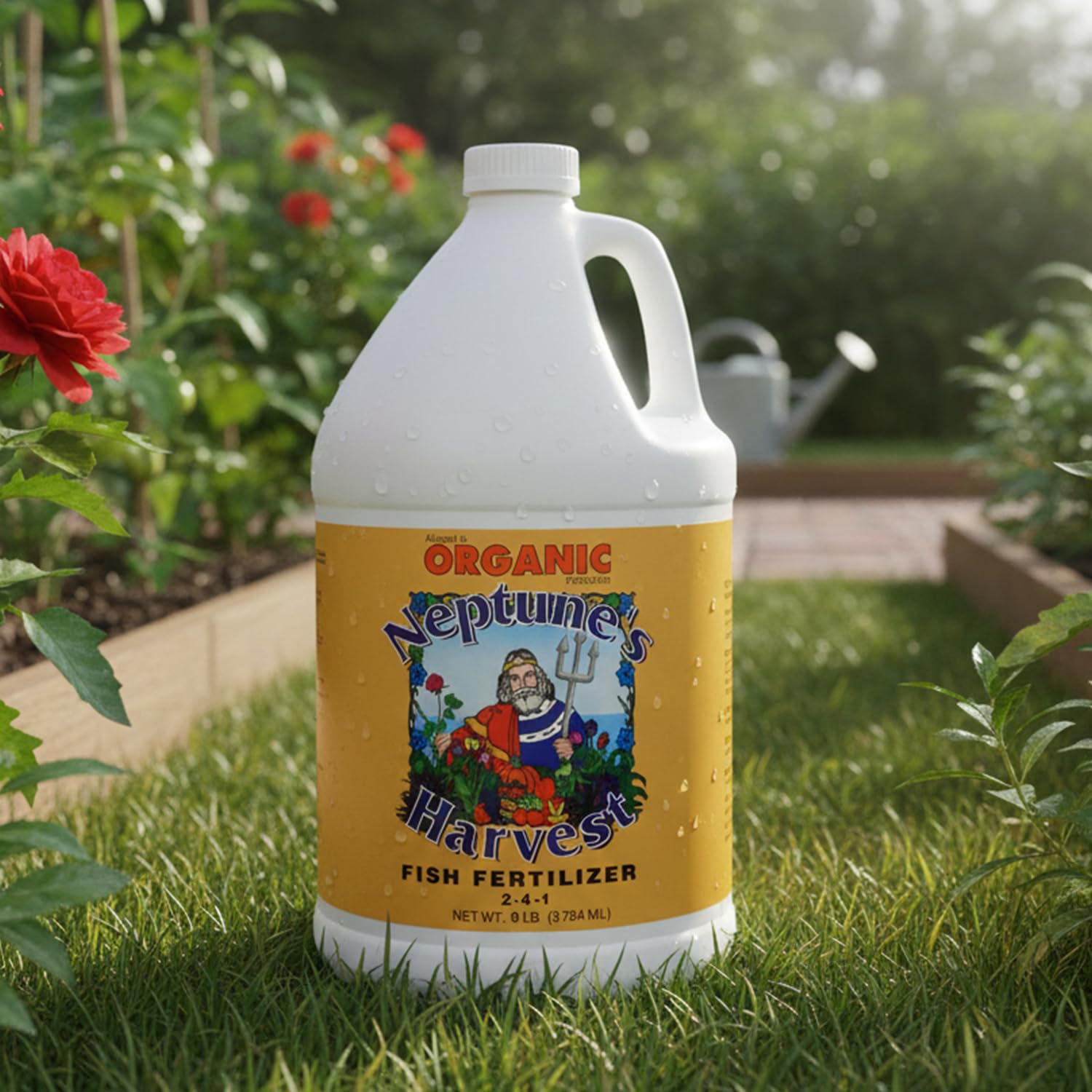 Neptune's Harvest jardín saludable tras uso con plantas más vigorosas