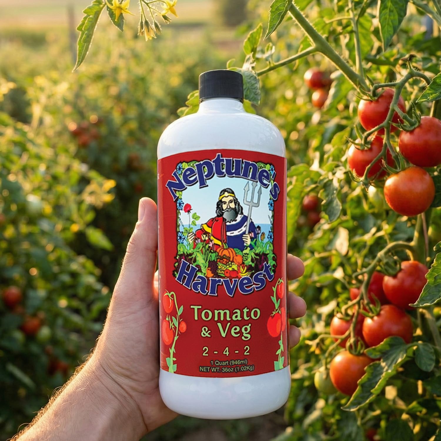 Neptune's Harvest junto a una taza para comparar tamaño de cuarto, beneficio control de dosis