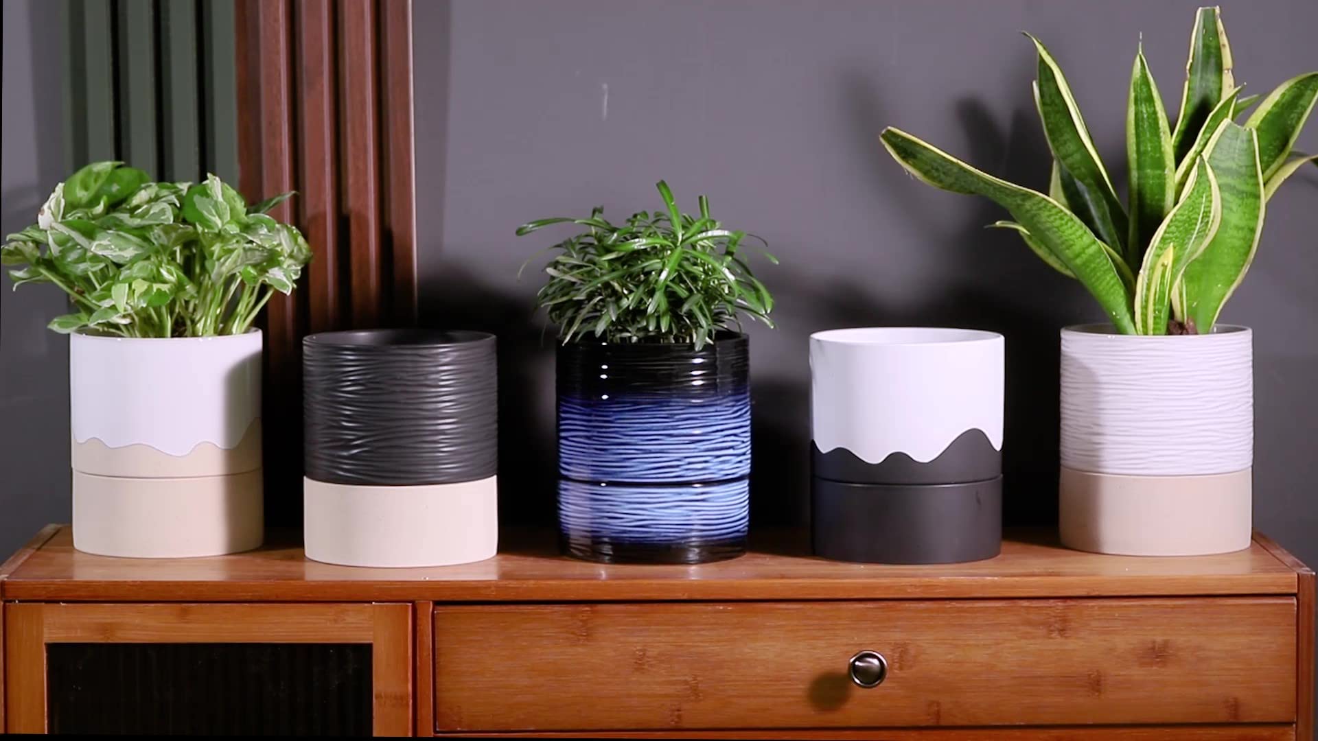Nihow en sala junto a plantas, aporta estilo y menor riego