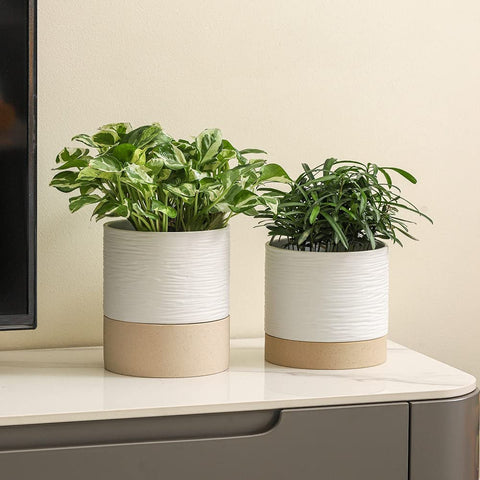 Nihow maceta con suculenta en uso, mantiene planta hidratada