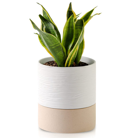Nihow maceta frontal blanca, diseño elegante y autorriego