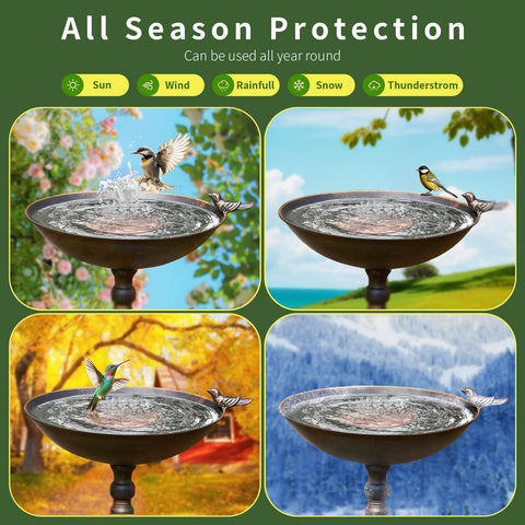 NOKOXIN disco colocado en baño de aves, agua más clara y atractiva
