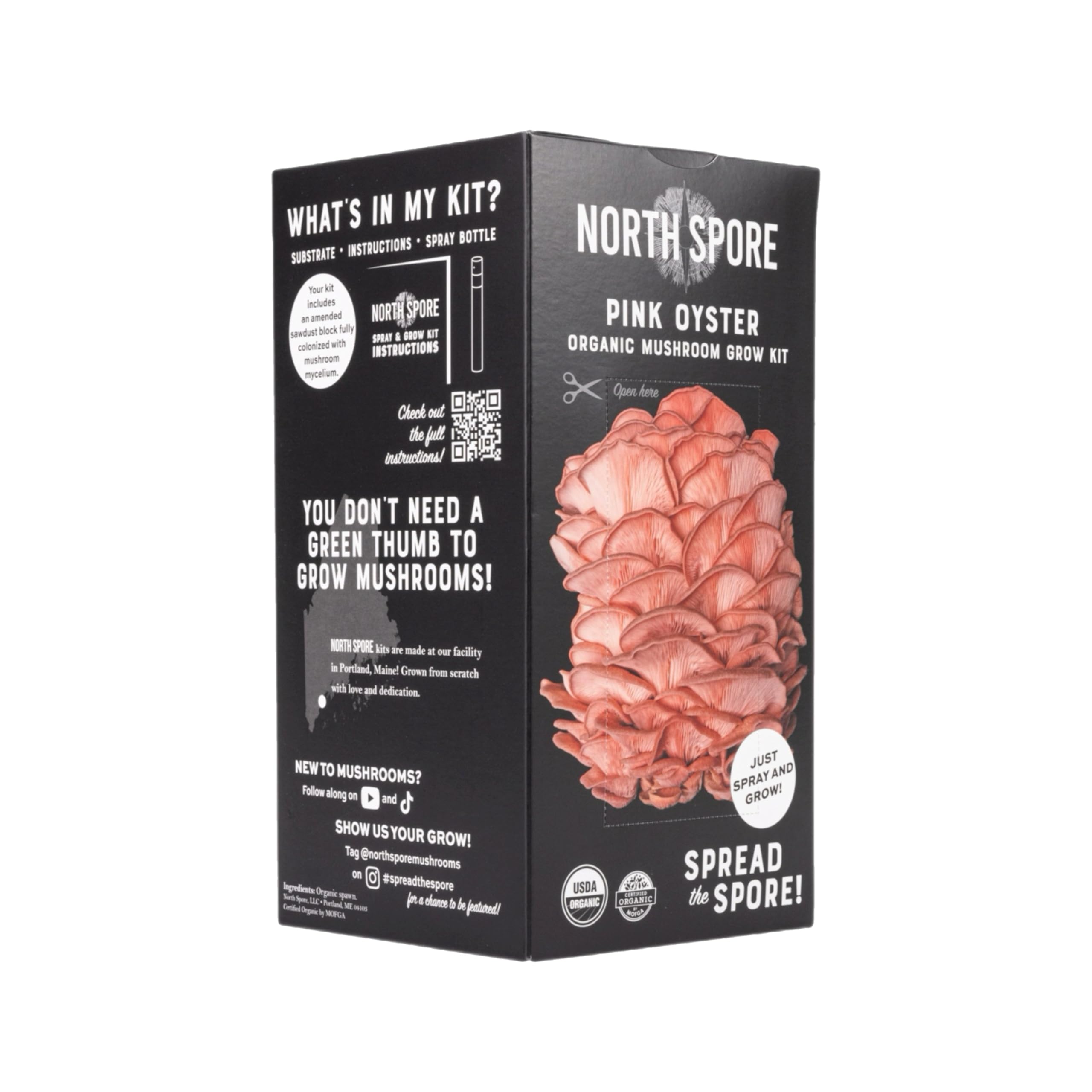 North Spore kit junto a regla para comparar tamaño y estimar rendimiento