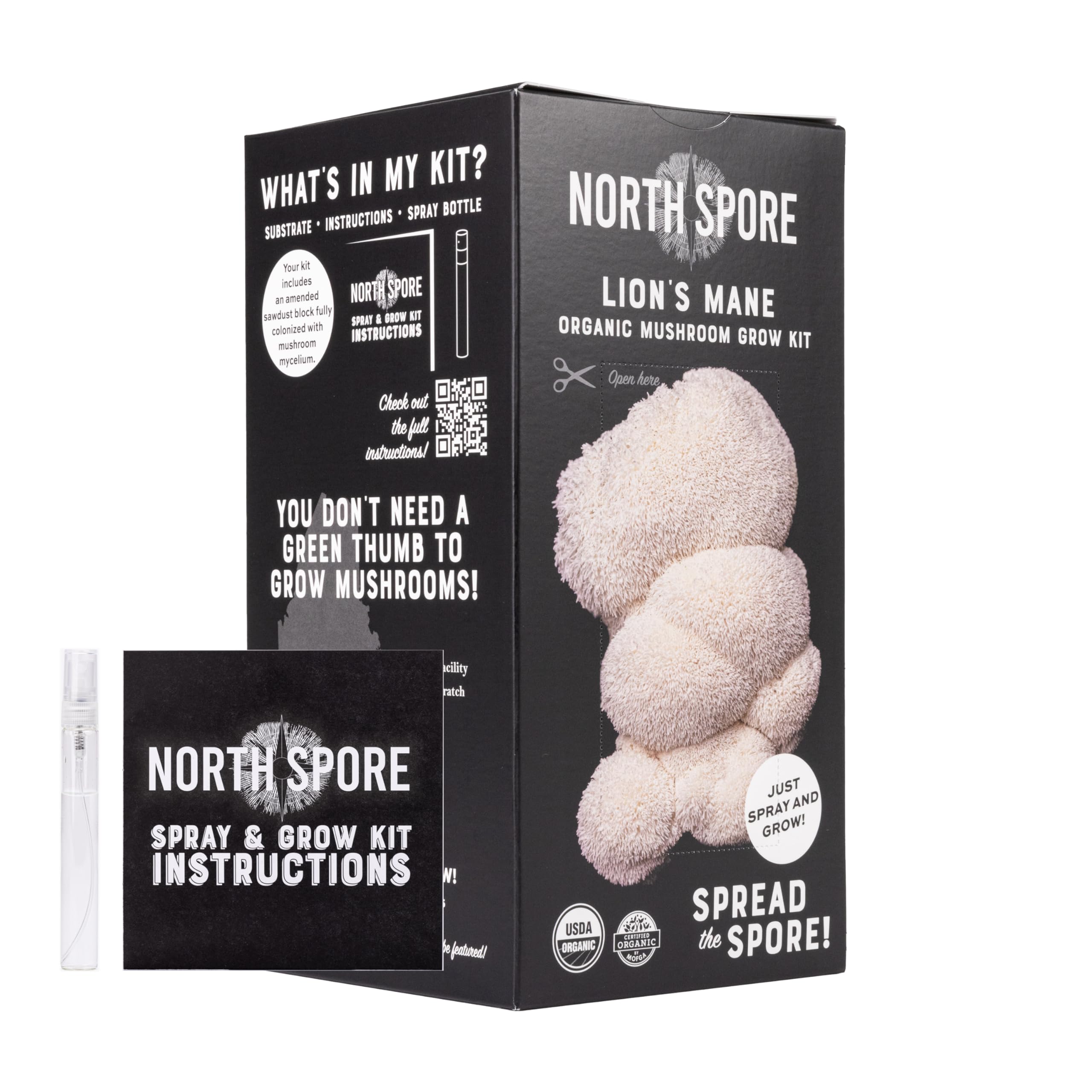 North Spore racimos de Lion's Mane cosechados listos para cocinar