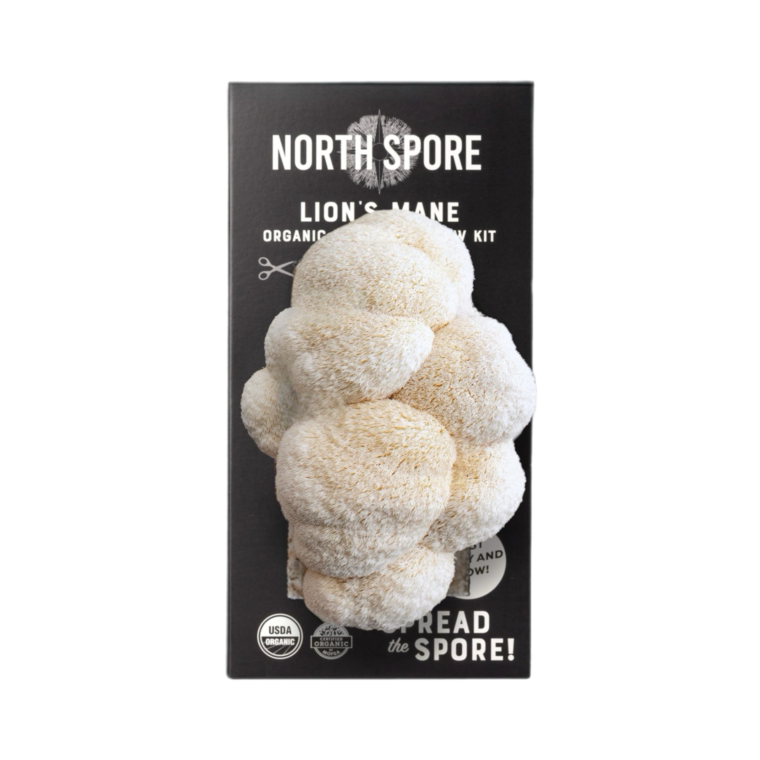 North Spore primer plano del sustrato orgánico que destaca calidad y textura