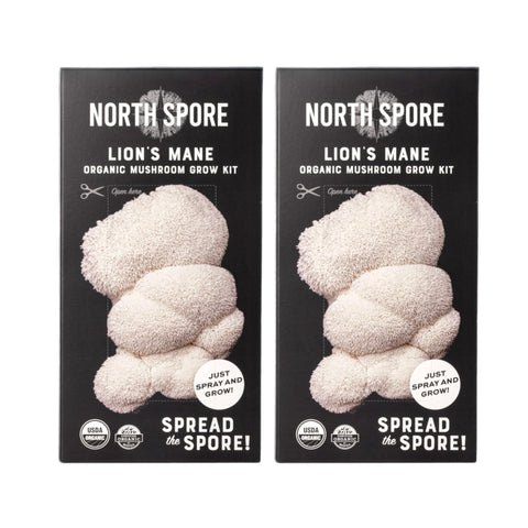 North Spore empaque frontal del kit mostrando contenido y beneficios orgánicos